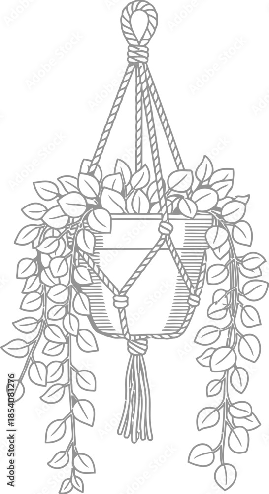 Obraz premium Adobe Illustrator Artwork