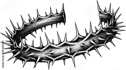 Detailed crown of thorns stipple art cad drawing flat vector illustration for religious christian symbol easter passion or gothic design