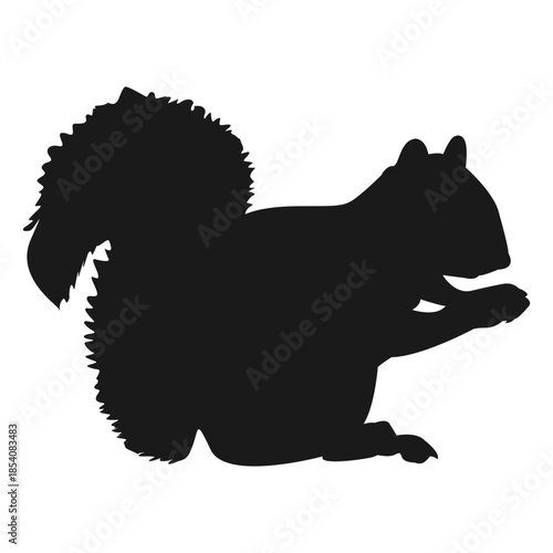 Squirrel silhouette