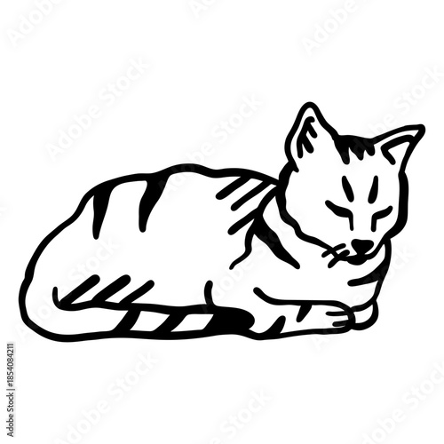 Cat stripe whisker lying stroke