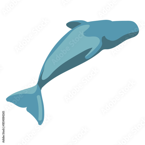 Cartoon flat whale image