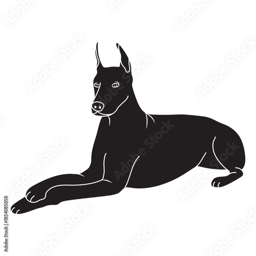 Lying down doberman dog black