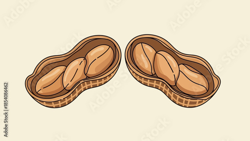 Hand-drawn illustration of an open peanut shell revealing two peanuts inside.