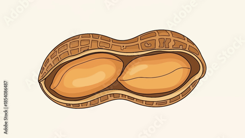 Detailed illustration of an opened peanut showing two seeds inside.