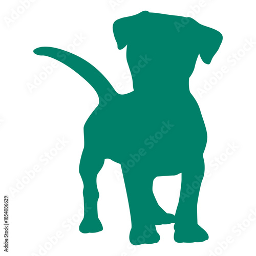 Curious puppy silhouette