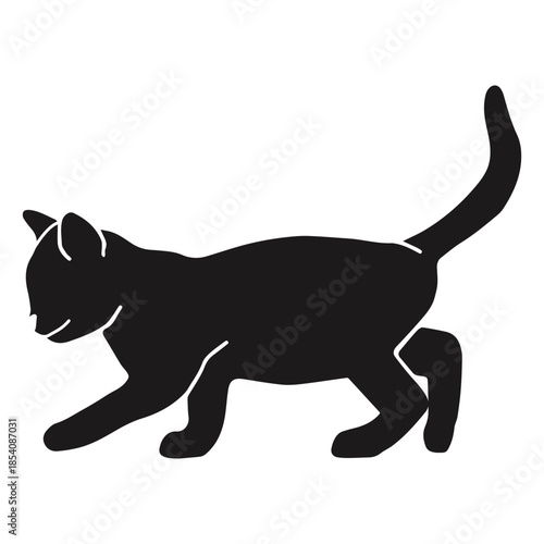 Cat stalking silhouette