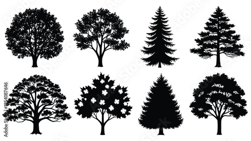Vector Silhouette Collection of Diverse Trees, Detailed Black Icons of Deciduous and Coniferous Species for Landscape Design and Nature Projects