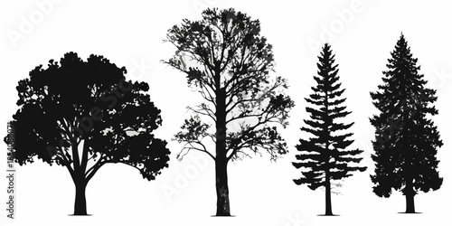 Silhouettes of various trees against a bright white background