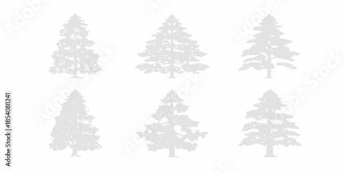 A collection of six gray silhouettes depicting various evergreen trees
