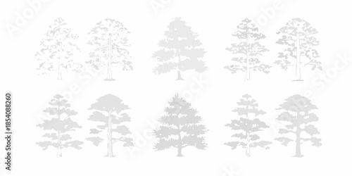 Silhouettes of coniferous trees in varying shapes and sizes are shown
