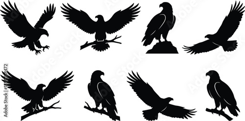 Eagle silhouette poses, bird of prey vector, flying perched icons, majestic raptor artwork, black wildlife design elements