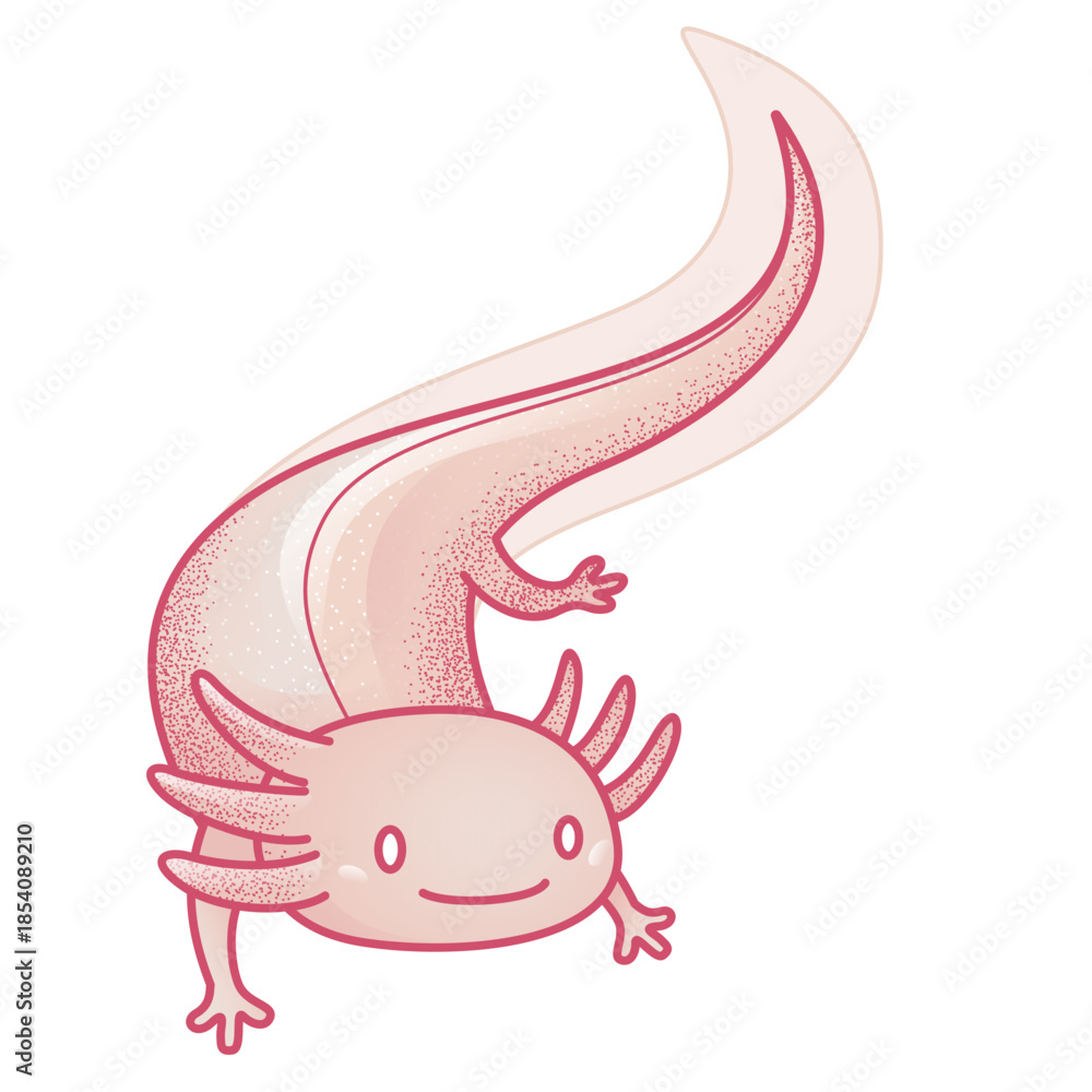 Fototapeta premium Axolotl cute colored