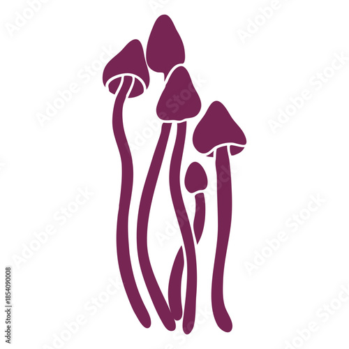Armilaria mellea fungi silhouette