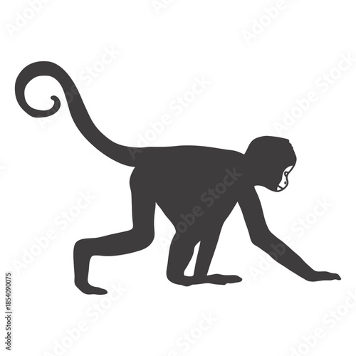 Monkey crawling animal