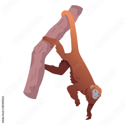 Golden lion tamarin illustration