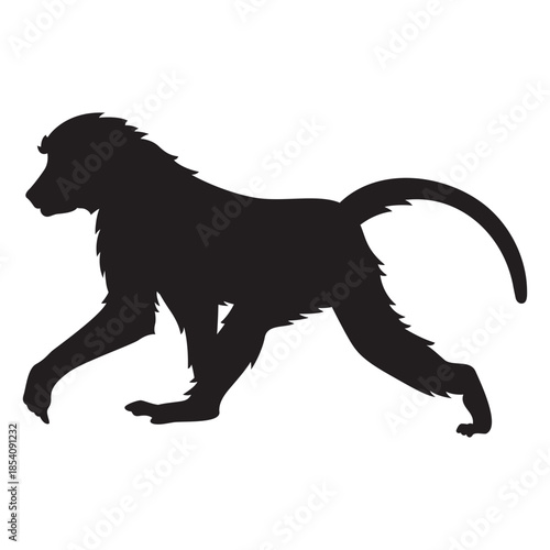 Guinea baboon silhouette
