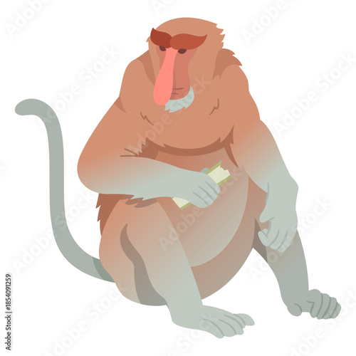 Long nosed monkey illustration
