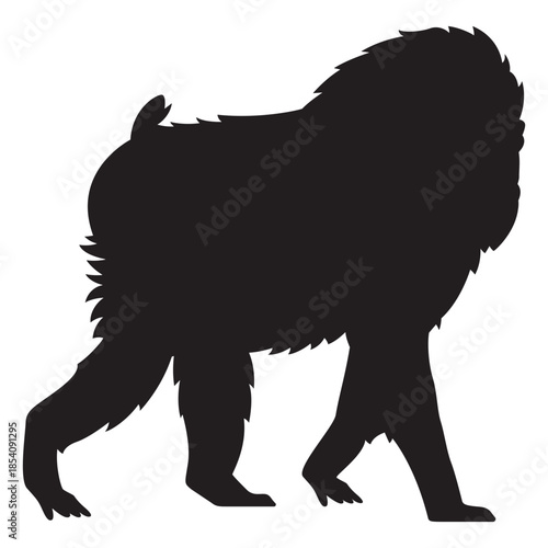 Mandrill monkey silhouette