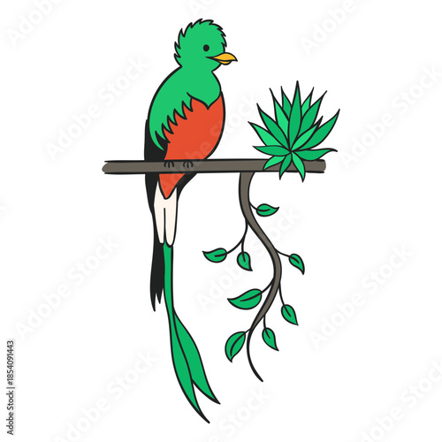 Quetzal guatemala flat