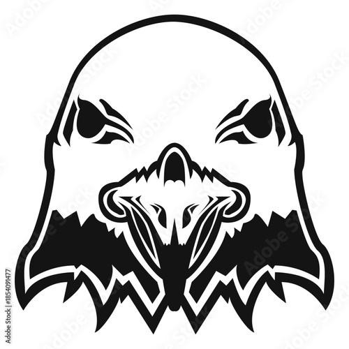 Seagull head high contrast