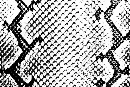 Close up of patterned black and white reptile skin texture