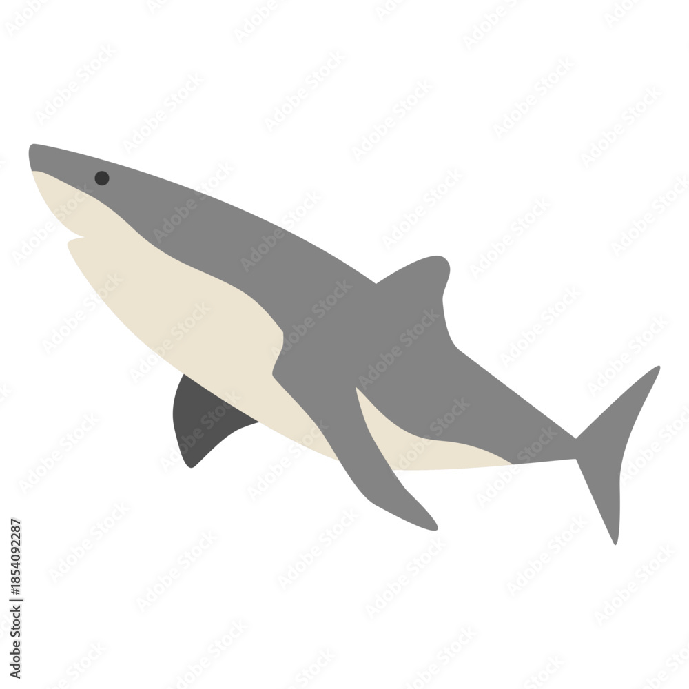Fototapeta premium Shark sea animal swimming