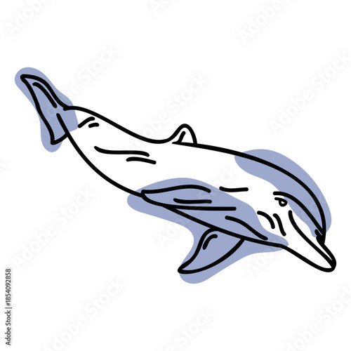Color stroke semi colored dolphin