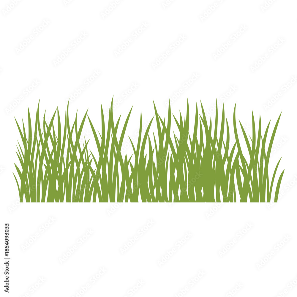 Fototapeta premium Grass silhouette in green