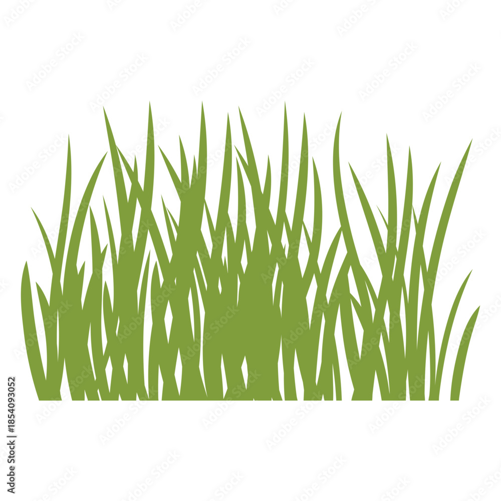 Fototapeta premium Tall lawn grass flat