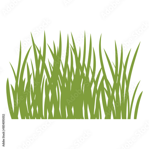 Tall lawn grass flat