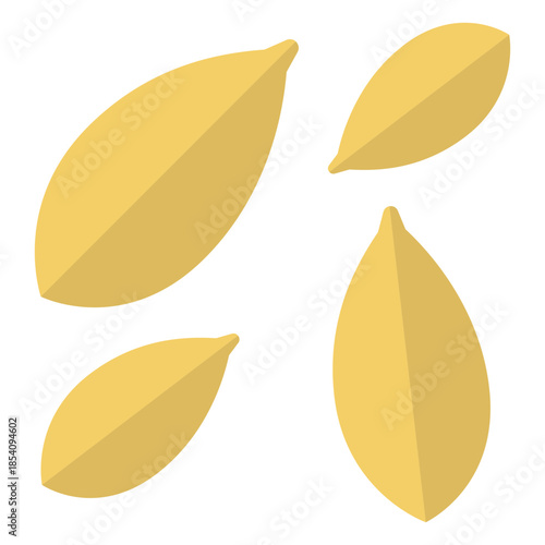 Seeds nature botanical icon