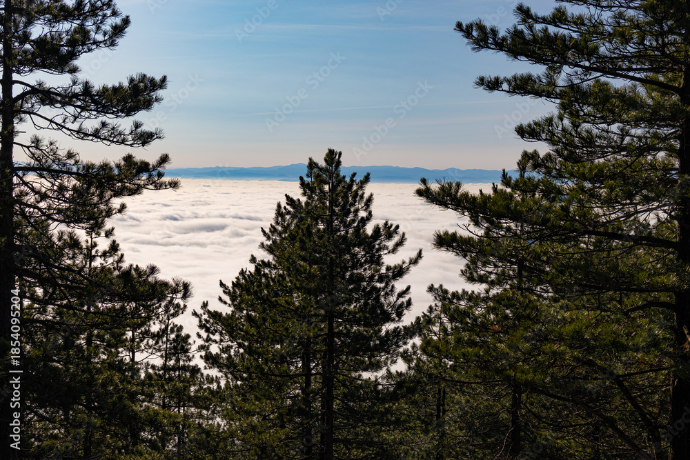 Obraz premium View over clouds on mountains forest, Serbia