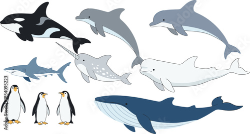 Professional flat vector illustration collection featuring orca, blue whale, dolphins, shark, narwhal, beluga, and penguins isolated on white background.