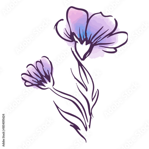 Line watercolor purple flowers