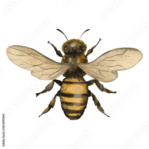 Bee textured insects