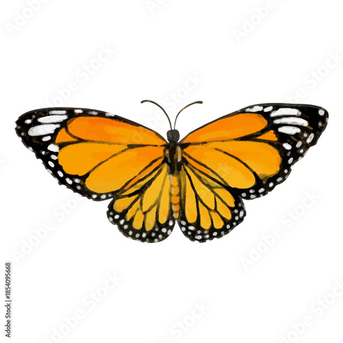 Butterfly textured insects