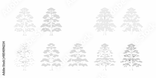 Abstract grayscale silhouettes of coniferous trees in varying shades and forms