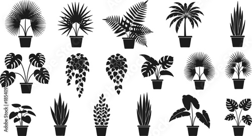 Indoor houseplant silhouettes set featuring tropical, palm, fern, and leafy potted plants isolated on white background for interior decor and botanical concepts