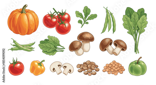Wide assortment of fresh garden vegetables including pumpkin tomatoes peppers mushrooms and greens for healthy cooking.