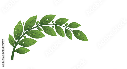 Curving green leafy branch adorned with sparkling transparent water droplets and small white highlights on a white background.