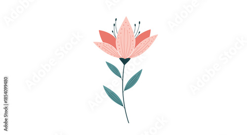 Delicate pink lily flower with dotted petals and blue-green leaves standing on a thin stem against a white background.
