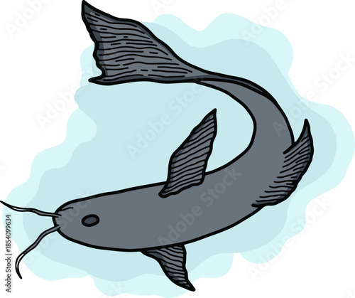 Stylized Catfish vector illustration in hand drawn style
