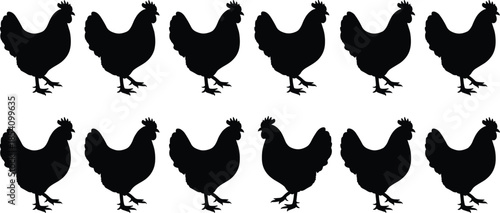 Chicken hen silhouettes collection farm poultry birds black vector illustrations for agriculture rural design icons set branding logo marketing projects