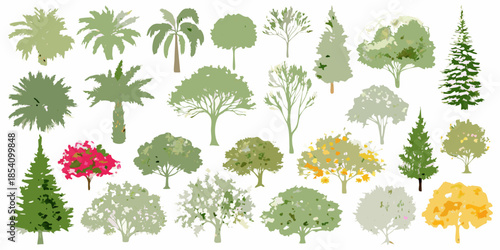Collection of various tree types and tropical foliage illustrations on white background
