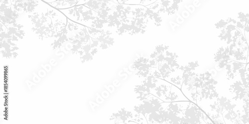 Delicate branches and leaves cast subtle shadows against a bright background