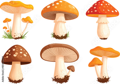 Vibrant cartoon mushroom varieties on a dark background, showcasing diverse fungi