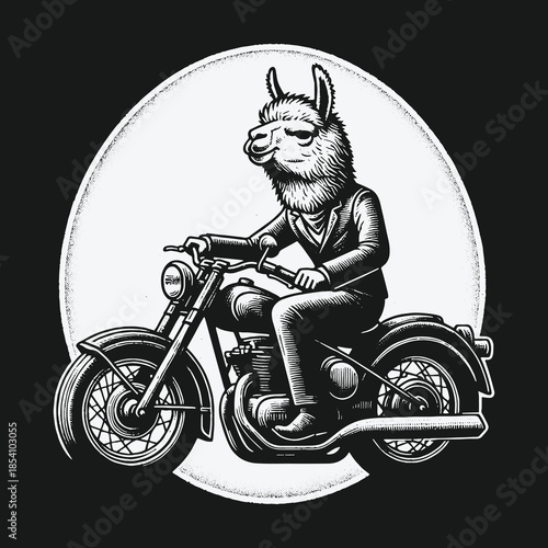 Cool llama biker riding a vintage motorcycle illustration.
