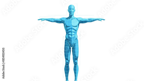 A blue digital human figure with outstretched arms standing against a white background