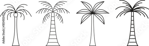 Palm Tree Line Icon Collection Illustration