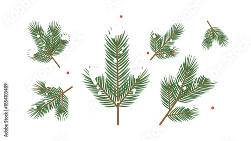 Illustration of various pine tree branches with red berries on a white background in a flat lay composition.